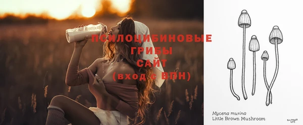 спиды Абдулино