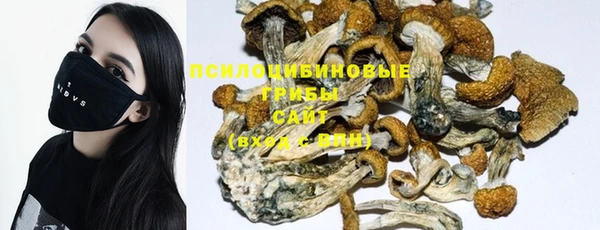 PSILOCYBIN Алексин