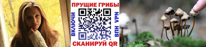 как найти закладки  Болотное  OMG tor  Псилоцибиновые грибы ЛСД 