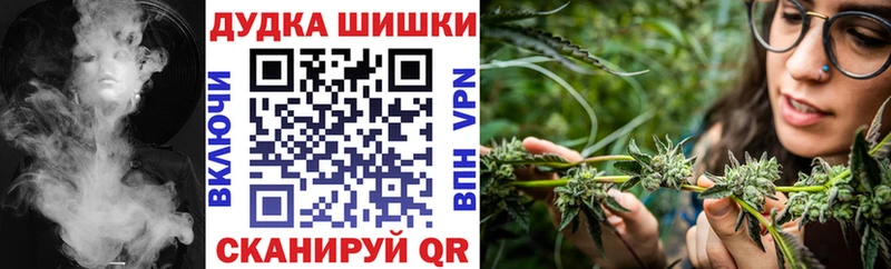 omg онион  Болотное  Марихуана сатива  купить закладку 
